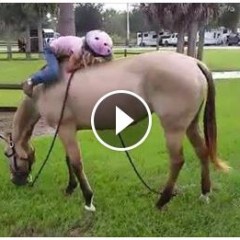 Ponies Mounting Women Related Keywords & Suggestions ... Ponies Mounting Women Related Keywords & Suggestions ...