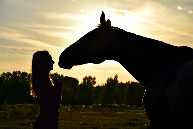 how-to-give-shots-western-horseman