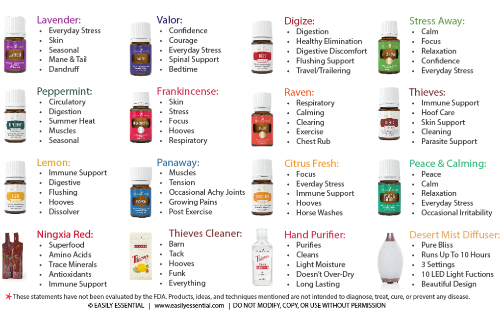 Easy Guide To Essential Oils For Horses – The Horseaholic