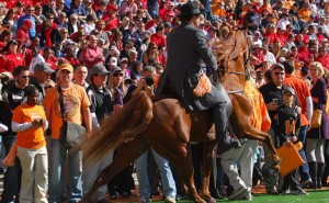 Video: Cruelty Exposed In Tennessee Walking Horses - The Horseaholic