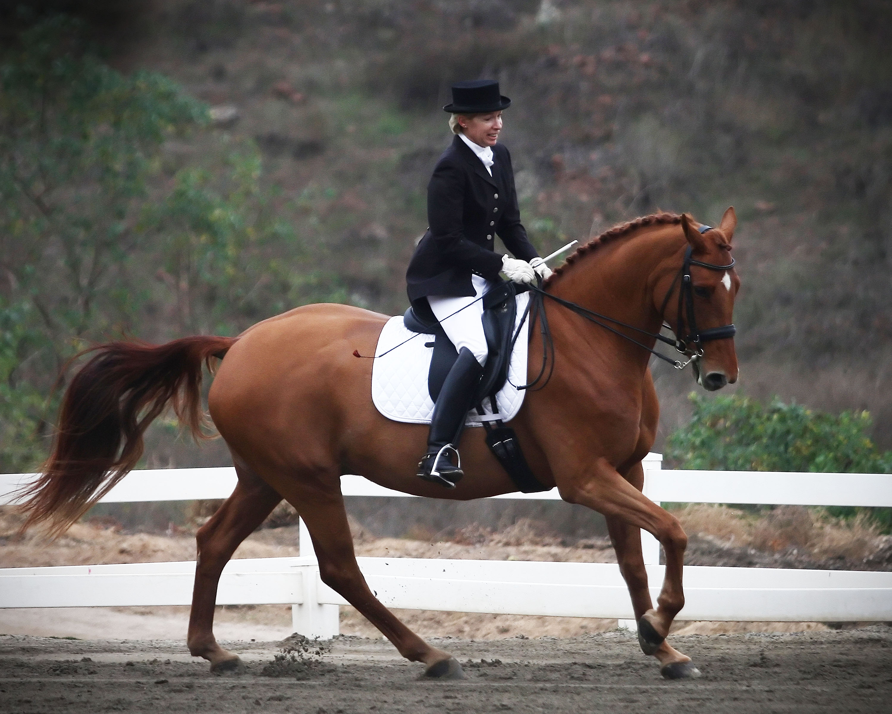 to all the horse lovers who aren’t winning championship