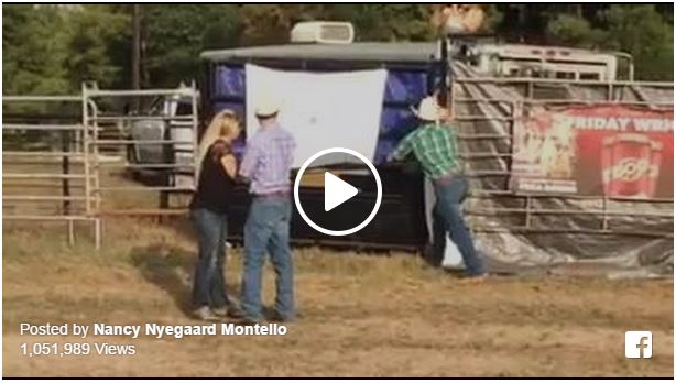 This Is How Horse People Do A Gender Reveal Party! - The ...