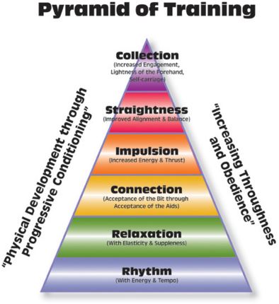 Pyramid of Training as defined by the United States Dressage Federation (USDF.org)