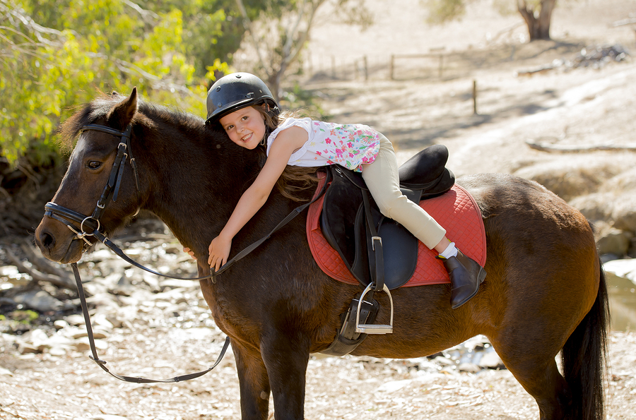 Sweet Young Girl Hugging Pony Horse Smiling Happy Wearing Safety