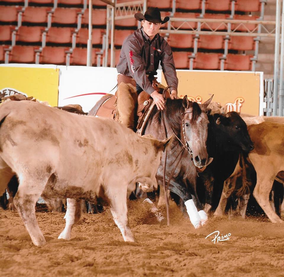 Zane Davis Performance Horses Facebook