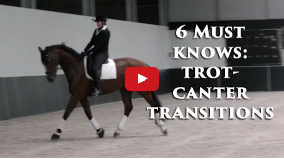 6 Must Knows For Awesome Trot To Canter Transitions The Horseaholic