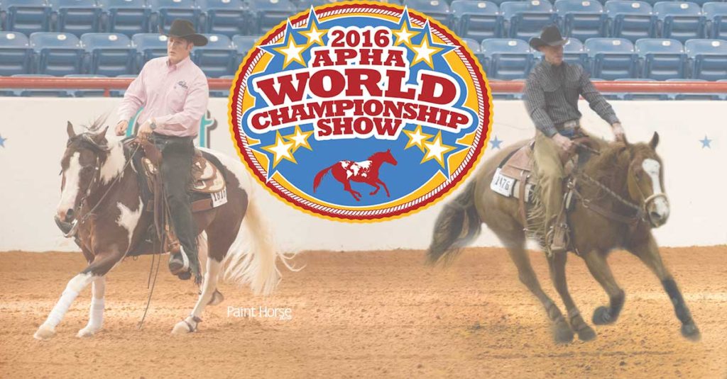 20 Reasons To Bring Your Solid Paint To APHA World Show! The Horseaholic