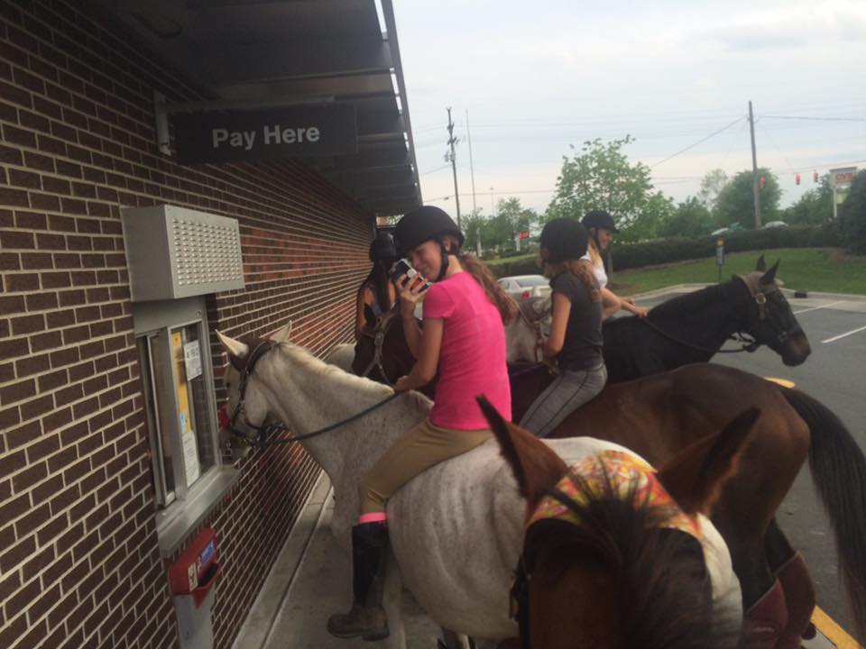 thoroughbred drive through 2