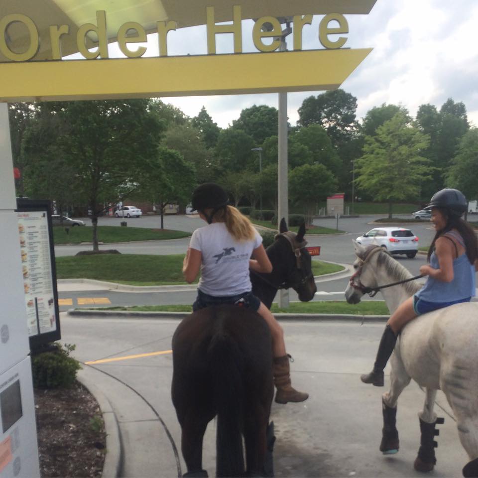 thoroughbred drive through