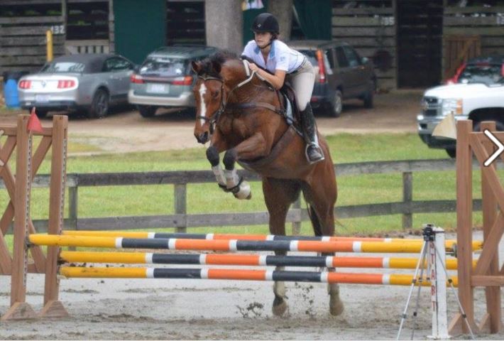 thoroughbred horse show 2