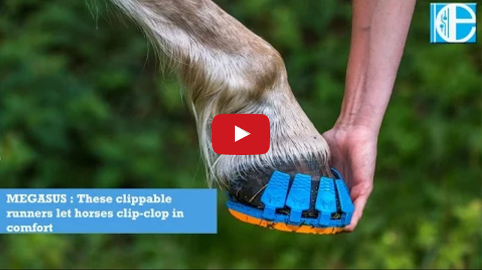 Plastic clip on clearance horse shoes