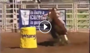 Bareback Barrel Racing FAST - This Team Is Incredible! - The Horseaholic