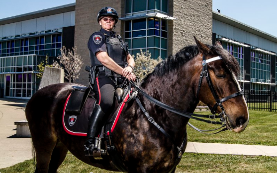 police car rocking horse