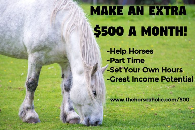 Watch How To Clean Your Horse’s Sheath Sheath Cleaning 101 The