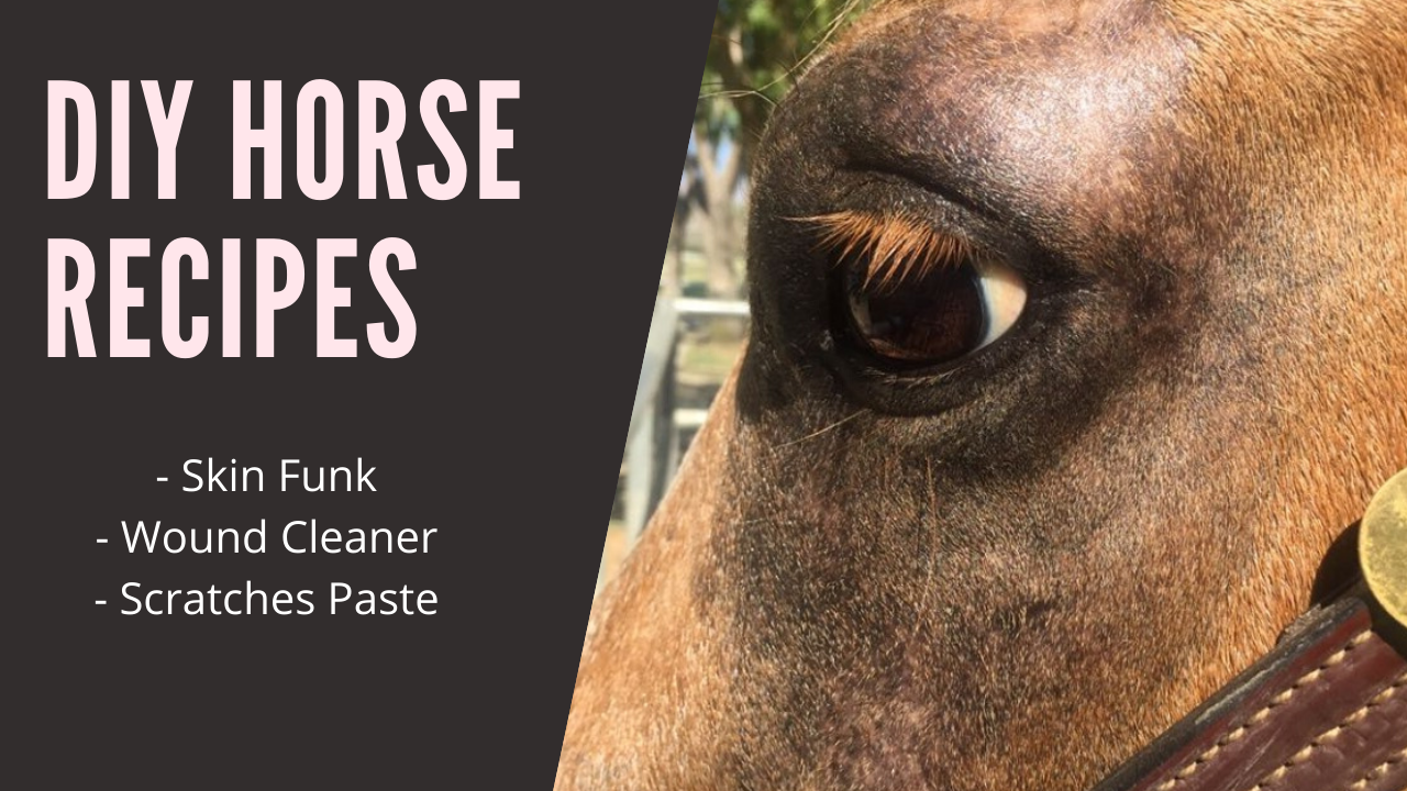 Diy Horse Recipes Skin Soother Wound Cleaner And Scratches Paste The Horseaholic - i am a big fat horse roblox